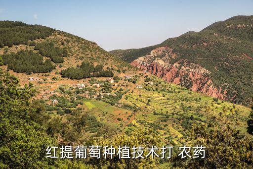 噴農(nóng)藥什么時(shí)候噴最好,農(nóng)藥二胺什么時(shí)候使用