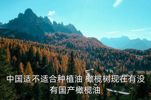 ,橄欖樹打什么農藥