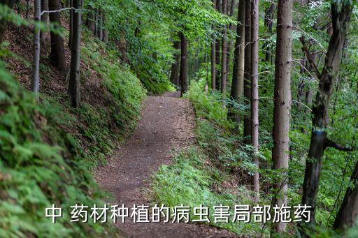 ?中 藥材種植的病蟲害局部施藥