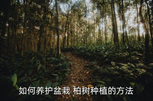 ,下山柏樹樁應(yīng)該打什么農(nóng)藥