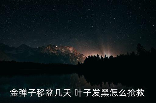 農藥噴葉子正面還是背面,什么農藥葉子黑