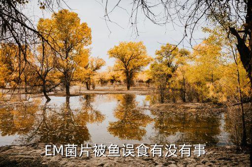 EM菌片被魚誤食有沒有事