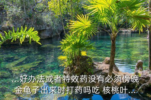 ...好辦法或者特效藥沒(méi)有必須傍晚金龜子出來(lái)時(shí)打藥嗎吃 核桃葉...