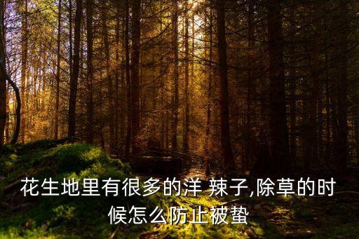 花生地里有很多的洋 辣子,除草的時(shí)候怎么防止被蟄