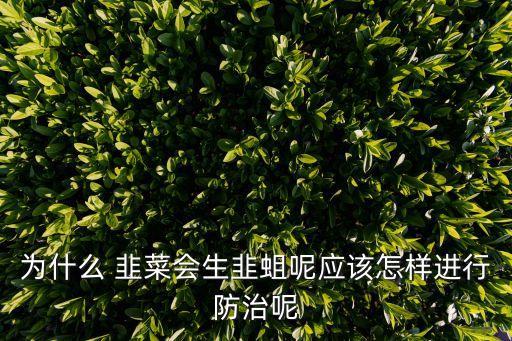 為什么 韭菜會(huì)生韭蛆呢應(yīng)該怎樣進(jìn)行防治呢
