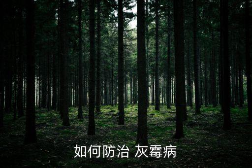 如何防治 灰霉病