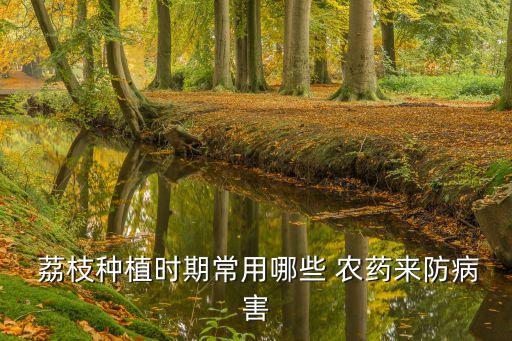  荔枝種植時期常用哪些 農(nóng)藥來防病害