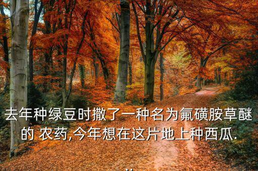 去年種綠豆時撒了一種名為氟磺胺草醚的 農藥,今年想在這片地上種西瓜...