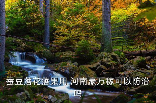 蠶豆落花落果用 河南豪萬稼可以防治嗎