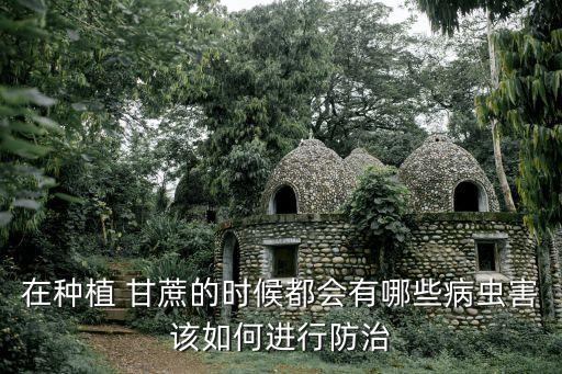 ,廣西甘蔗施什么農(nóng)藥