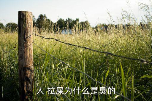 人 拉屎為什么是臭的