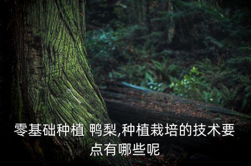 ,鴨梨噴什么農藥