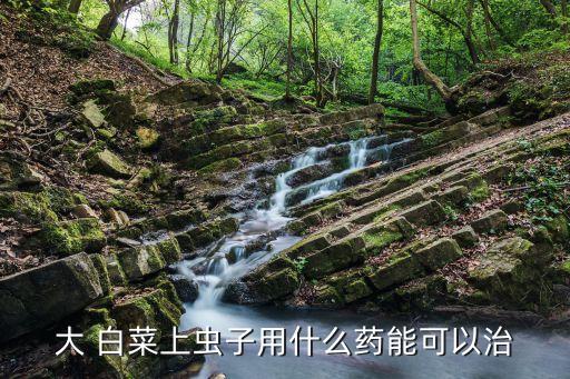 白菜一般打什么農藥,白菜夾蟲用什么農藥好