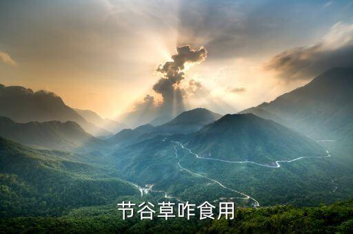 節(jié)谷草咋食用