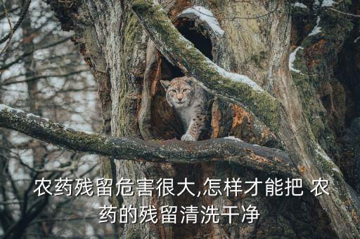  農藥殘留危害很大,怎樣才能把 農藥的殘留清洗干凈