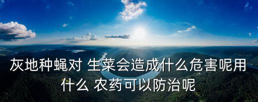 灰地種蠅對 生菜會造成什么危害呢用什么 農(nóng)藥可以防治呢