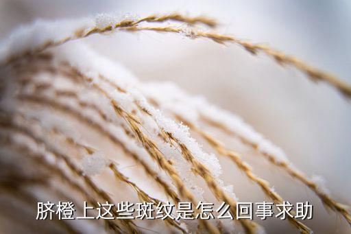臍橙上這些斑紋是怎么回事求助