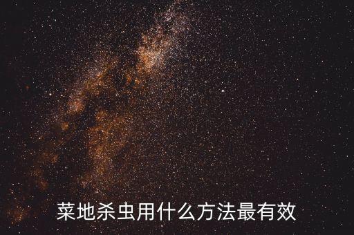 菜地殺蟲用什么方法最有效