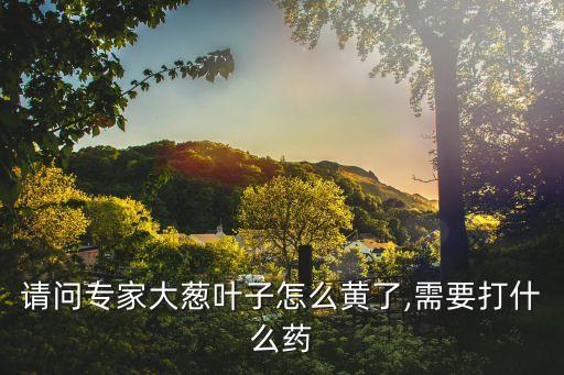 香蔥發(fā)病用什么農(nóng)藥,香蔥打什么農(nóng)藥好