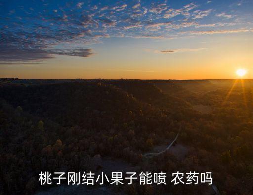 桃子剛結小果子能噴 農藥嗎