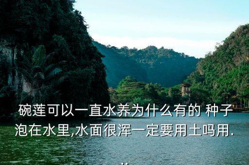  碗蓮可以一直水養為什么有的 種子泡在水里,水面很渾一定要用土嗎用...