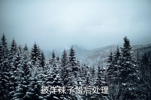 拉農(nóng)藥需要什么手續(xù),洋拉子用什么農(nóng)藥