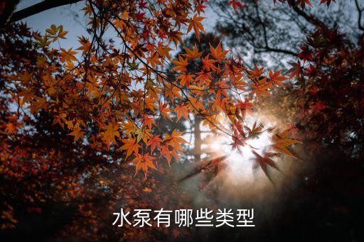  水泵有哪些類型