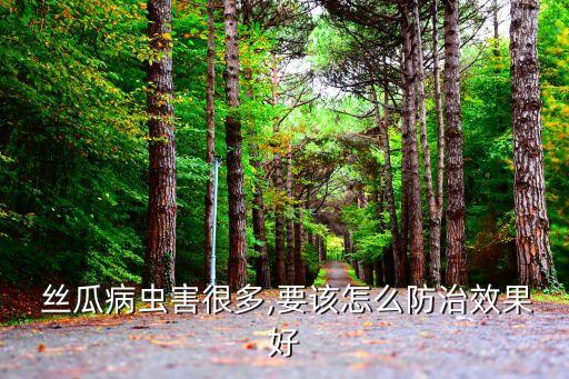 絲瓜不打農(nóng)藥打什么能除蟲(chóng)