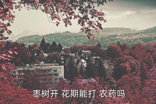  棗樹開 花期能打 農(nóng)藥嗎