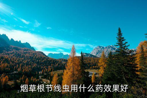  煙草根節(jié)線蟲用什么藥效果好