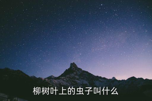 柳樹葉上的蟲子叫什么