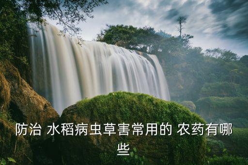 防治 水稻病蟲草害常用的 農藥有哪些