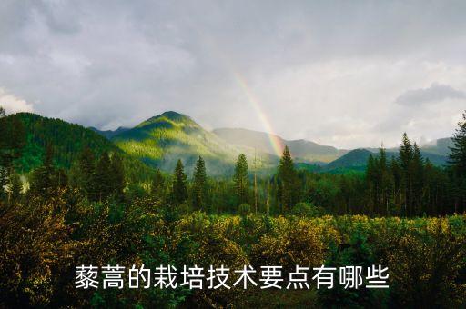 種植香蕉需要什么農藥,種植藜蒿用什么農藥