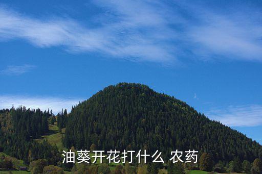 油葵開花打什么 農(nóng)藥