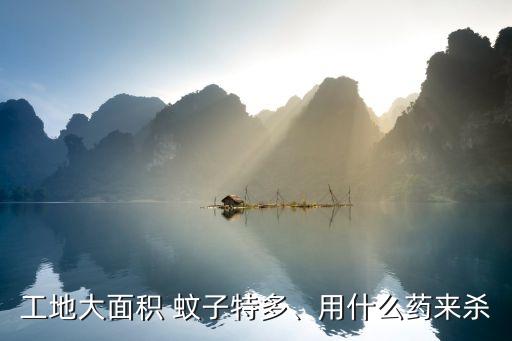 工地大面積 蚊子特多、用什么藥來殺