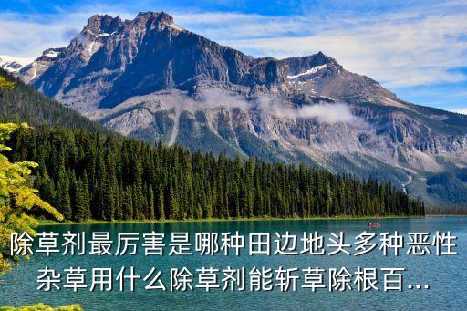 除草劑最厲害是哪種田邊地頭多種惡性雜草用什么除草劑能斬草除根百...