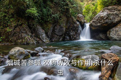 黑吉農藥是什么,黑吉遼內蒙古后面是什么?