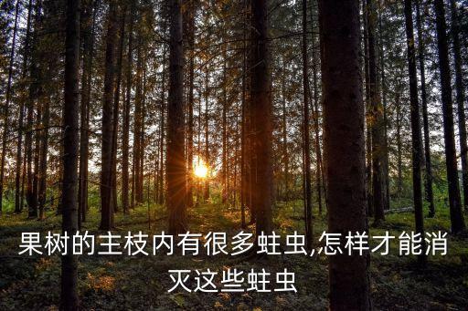 果樹的主枝內有很多蛀蟲,怎樣才能消滅這些蛀蟲