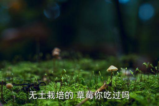 草莓一般打什么農藥,草莓套袋用什么農藥