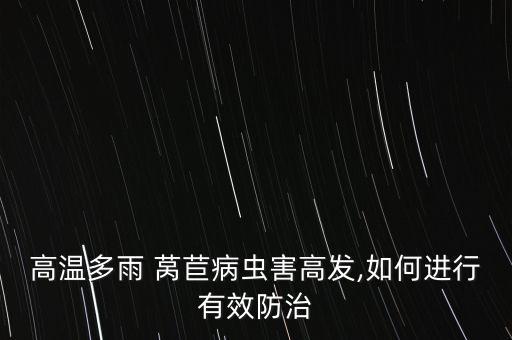 高溫多雨 萵苣病蟲害高發(fā),如何進行有效防治