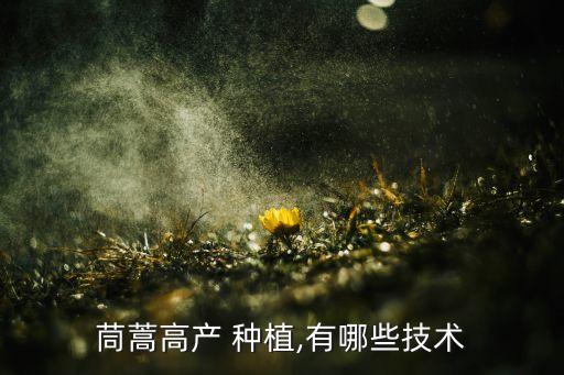 茼蒿高產 種植,有哪些技術