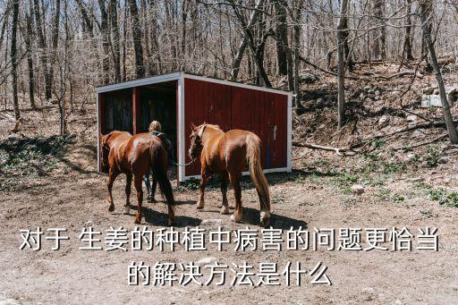 現在生姜噴什么農藥好使,生姜需要打什么農藥