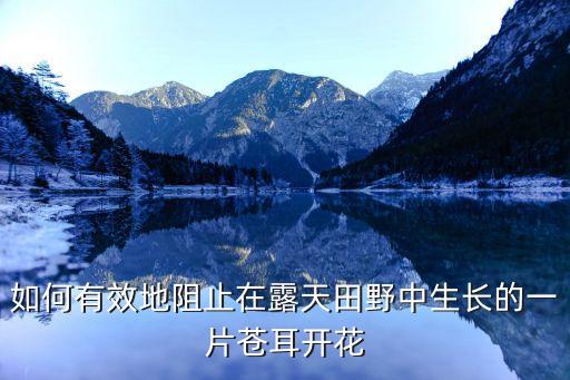 蒼耳打什么農藥,蒼耳用什么農藥能殺死