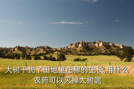 ,小爛樹用什么農藥去除