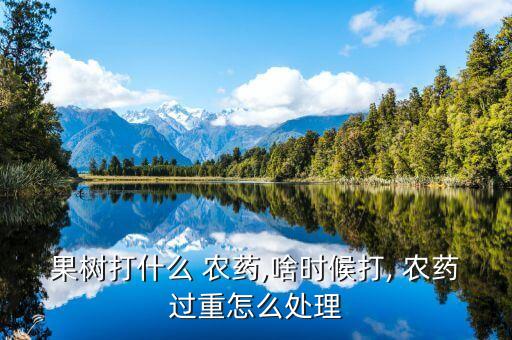 ,蘋果花露紅時打什么農藥