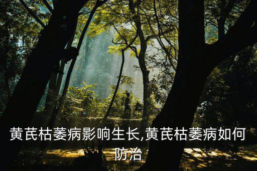 ,當歸黃苗死苗用什么農藥