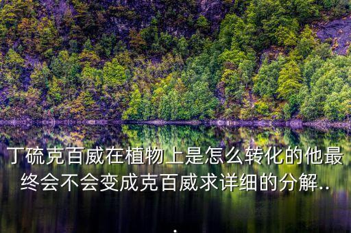 丁硫克百威在植物上是怎么轉化的他最終會不會變成克百威求詳細的分解...
