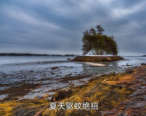  夏天驅蚊絕招