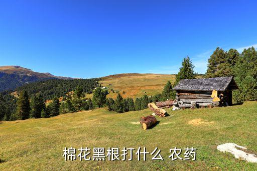  棉花黑根打什么 農(nóng)藥