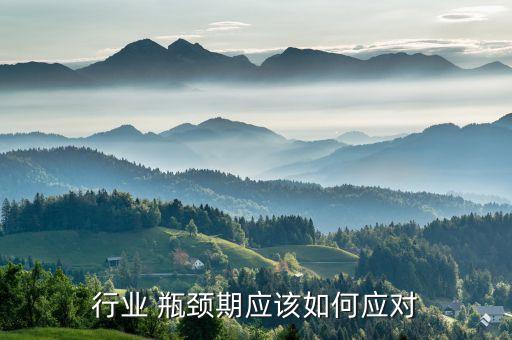 行業 瓶頸期應該如何應對